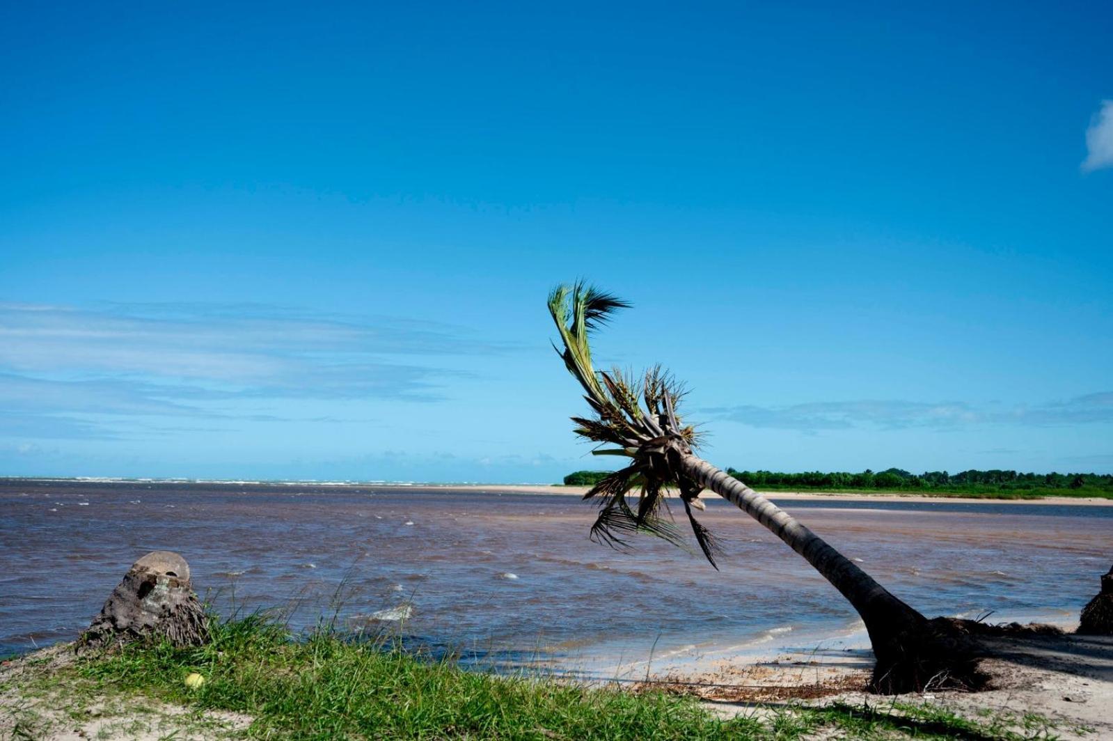 Bangalo Verde Recanto Uana - 280M Praia Tatuamunha Maceió 外观 照片