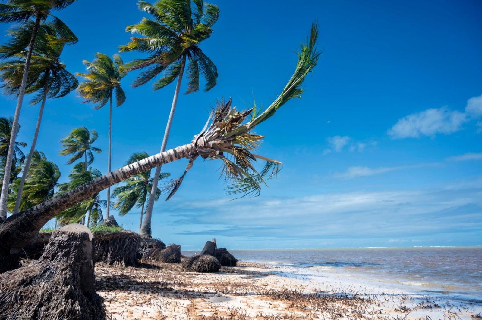 Bangalo Verde Recanto Uana - 280M Praia Tatuamunha Maceió 外观 照片